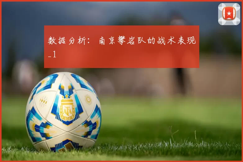 数据分析：南京攀岩队的战术表现_1