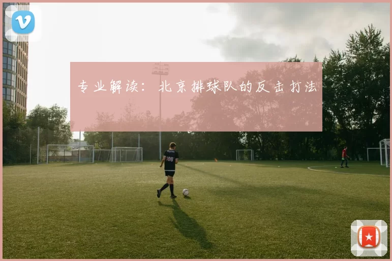 专业解读：北京排球队的反击打法