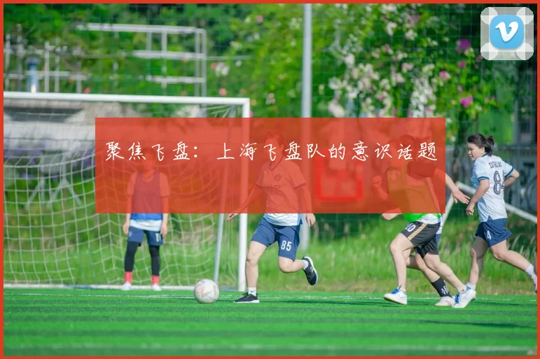 聚焦飞盘：上海飞盘队的意识话题