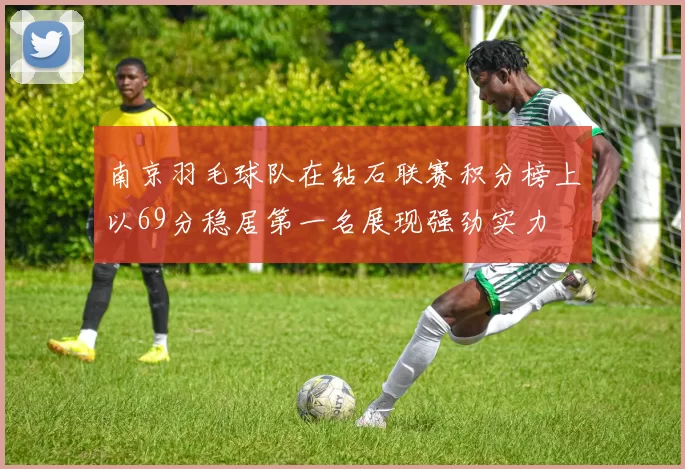 南京羽毛球队在钻石联赛积分榜上以69分稳居第一名展现强劲实力