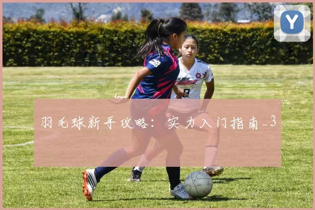 羽毛球新手攻略：实力入门指南_3